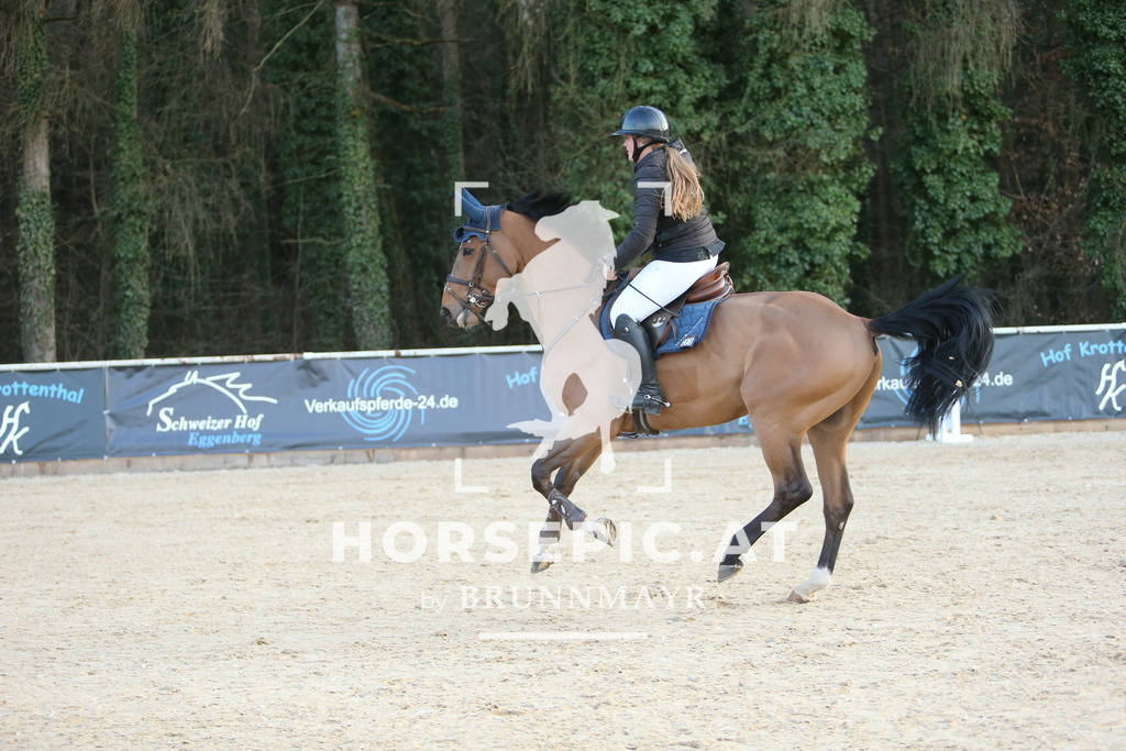 DL2Q4732 | Willkommen bei Brunnmayr - Design & Fotografie – Ihrem Spezialisten für Reitturniere und Pferdeveranstaltungen in Oberösterreich, Salzburg und Bayern! Seit über 17 Jahren sind wir leidenschaftlich dabei.