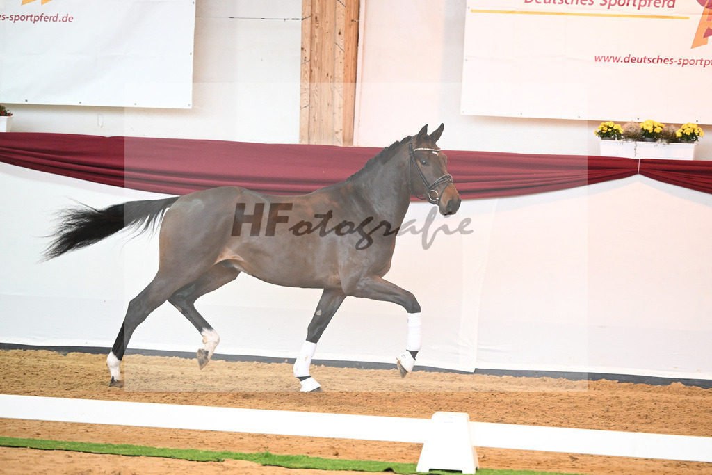 Kat-Nr. 43 v. Mykonos_Sommer_66220971 | hf-fotografie - Realisiert mit Pictrs.com