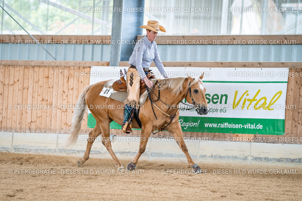 DSC08087 | Pferdegrafie