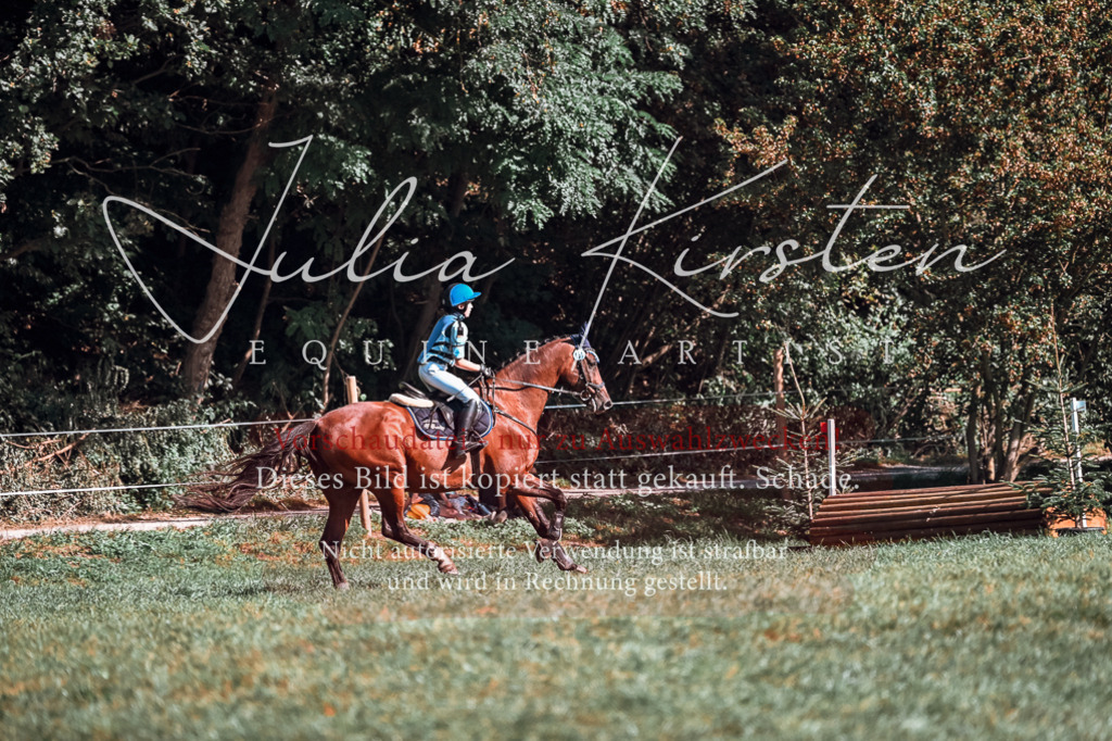 DSC_0817 | Pferde- und Turnierfotografie in Westsachsen. Pferdeportraits, Auftragszeichnungen und intuitive Kunst.