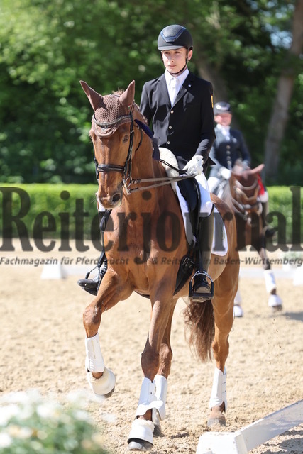 Böblingen_2025_Prfg.Nr.08_Dressurprüfung_Kl.M_Nürnberger Burgpokal_Siegerehrung_Prfg.Nr.08__ (39) | Alle Fotos der Reiterjournal Fotografin Doris Matthaes im Reiterjournal Online-Fotoshop. - Realisiert mit Pictrs.com