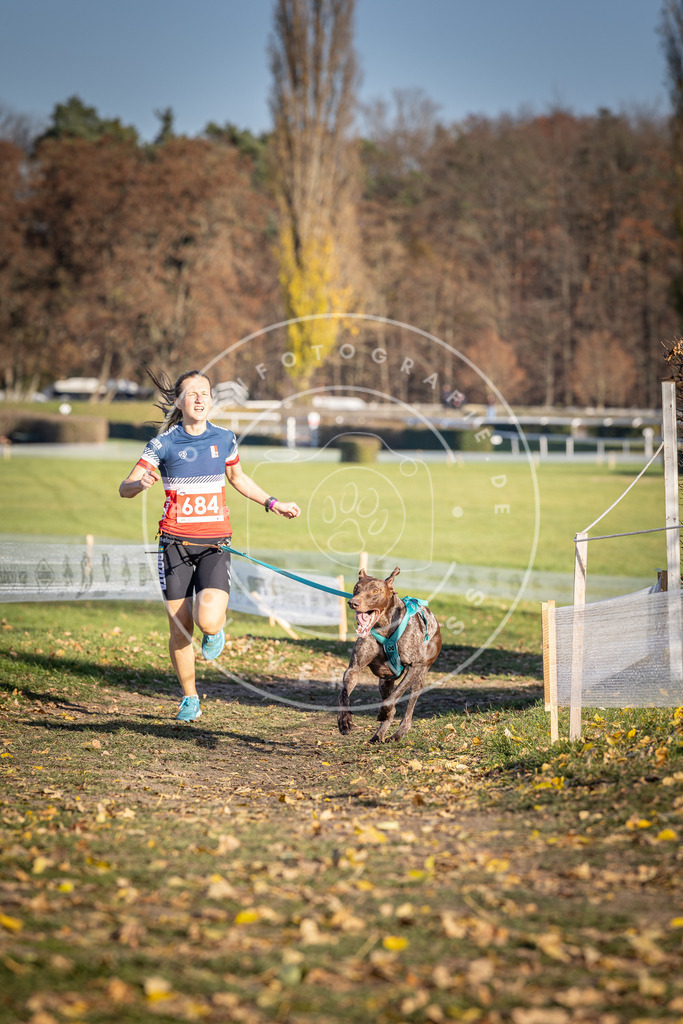 CaniXpix_DV3A1144 | Hundefotografie, Tierfotograf, Pfotenfotografie, Fotoshooting Hund, Hunde Portrait, Hundesport, Hundeportraits, Heideshooting, Hunde, Sportfotograf, Hundefotograf, Turnierhundsport, THS,  - Realisiert mit Pictrs.com
