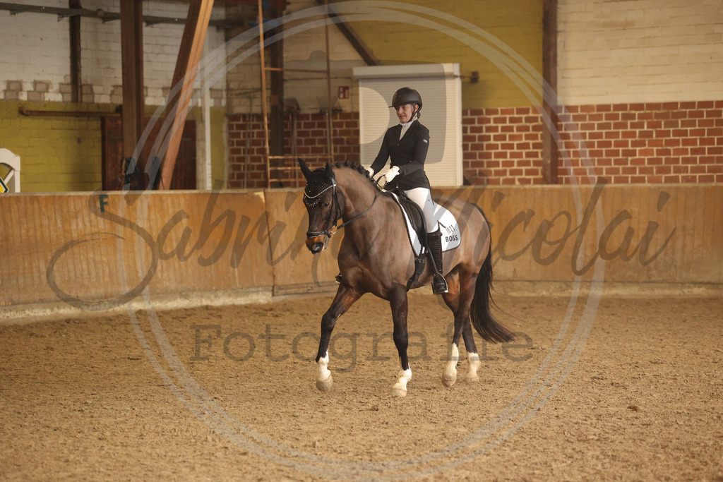 994A9150 | sabrinanicolaifotografie - Realisiert mit Pictrs.com