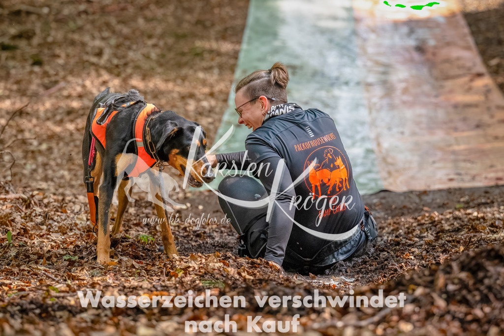 1229_ZZ90387-Bearbeitet | kk-dogfotos