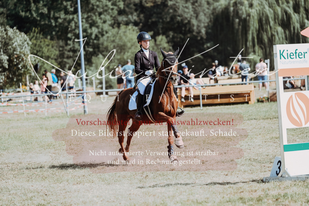 DSC_9366 | Pferde- und Turnierfotografie in Westsachsen. Pferdeportraits, Auftragszeichnungen und intuitive Kunst.