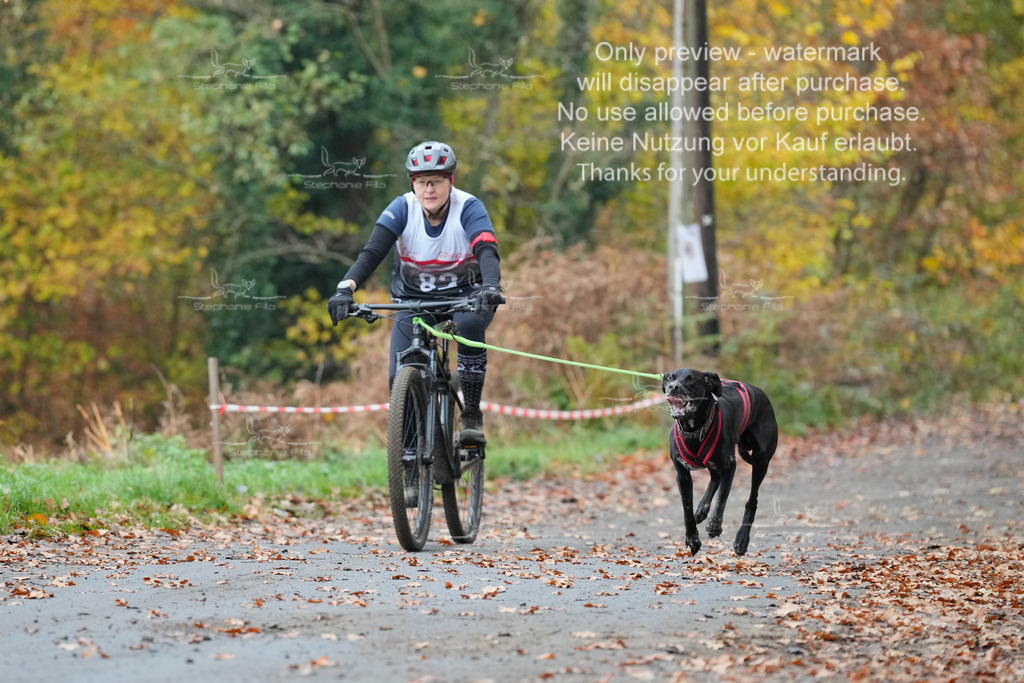 Bike_So-107 | stephaniefillaphotographie - Realisiert mit Pictrs.com