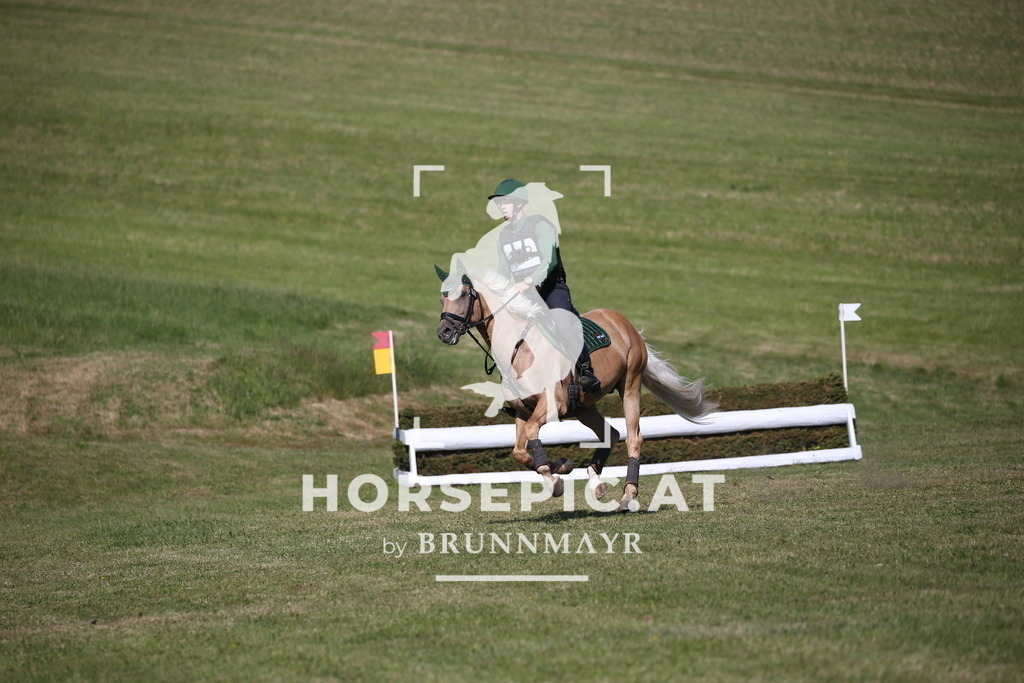 DL2Q1956 | Willkommen bei Brunnmayr - Design & Fotografie – Ihrem Spezialisten für Reitturniere und Pferdeveranstaltungen in Oberösterreich, Salzburg und Bayern! Seit über 17 Jahren sind wir leidenschaftlich dabei.