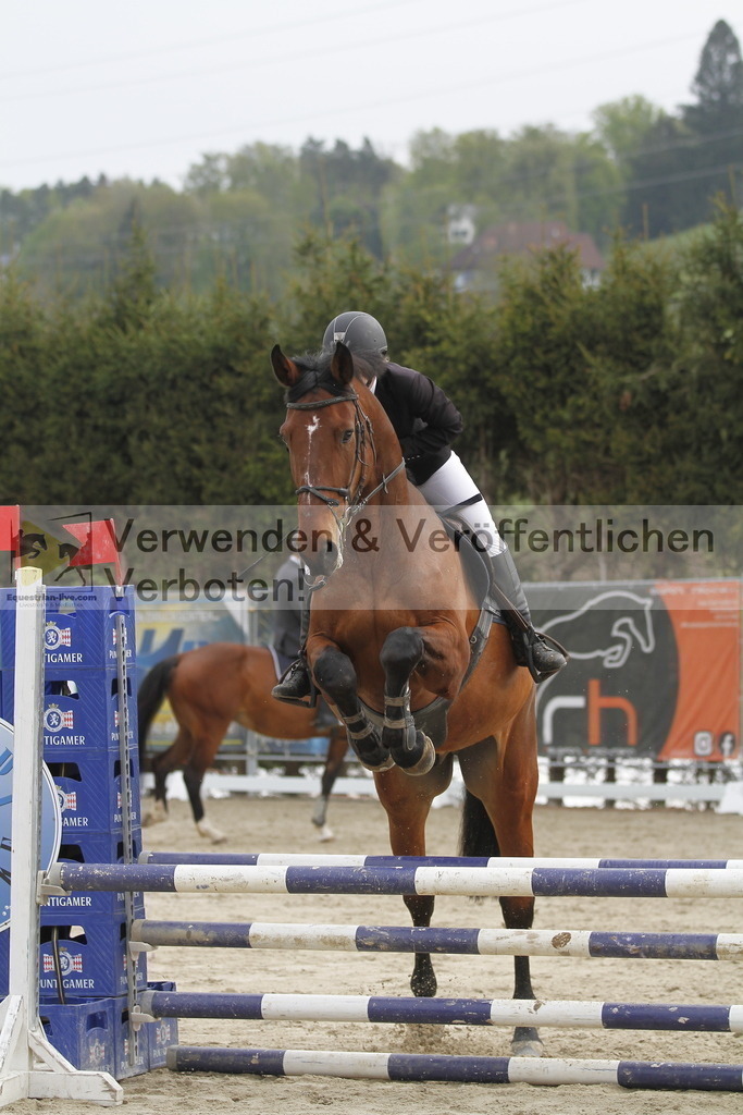 _MG_0451 | equestrian-live-com