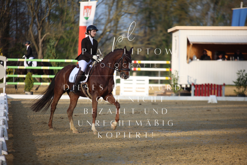 IMGT9194 | pl-fotografie