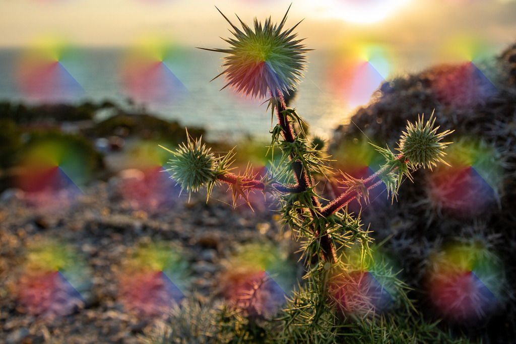 20230618-7J9A9599 | FineArtPrint, Hahnemühle, FeeGalerie, Fee Galerie, Fotokunst, Fotografie, Canonphotography, Bergfoto, Matterhorn, Rimpfischhorn, Allalinhorn, Saas-Fee, Wallis, Valais, Switzerland, Bergfotografie