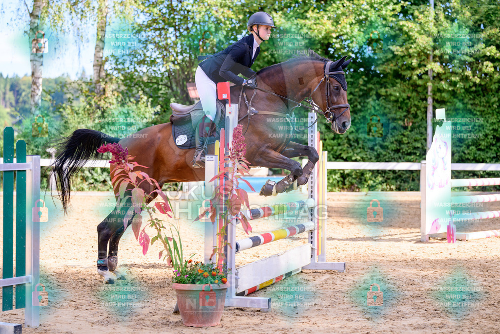 30082026-Giesenbach-Prfg16-0475 | Fokus Hufschlag Fotografie - Realisiert mit Pictrs.com