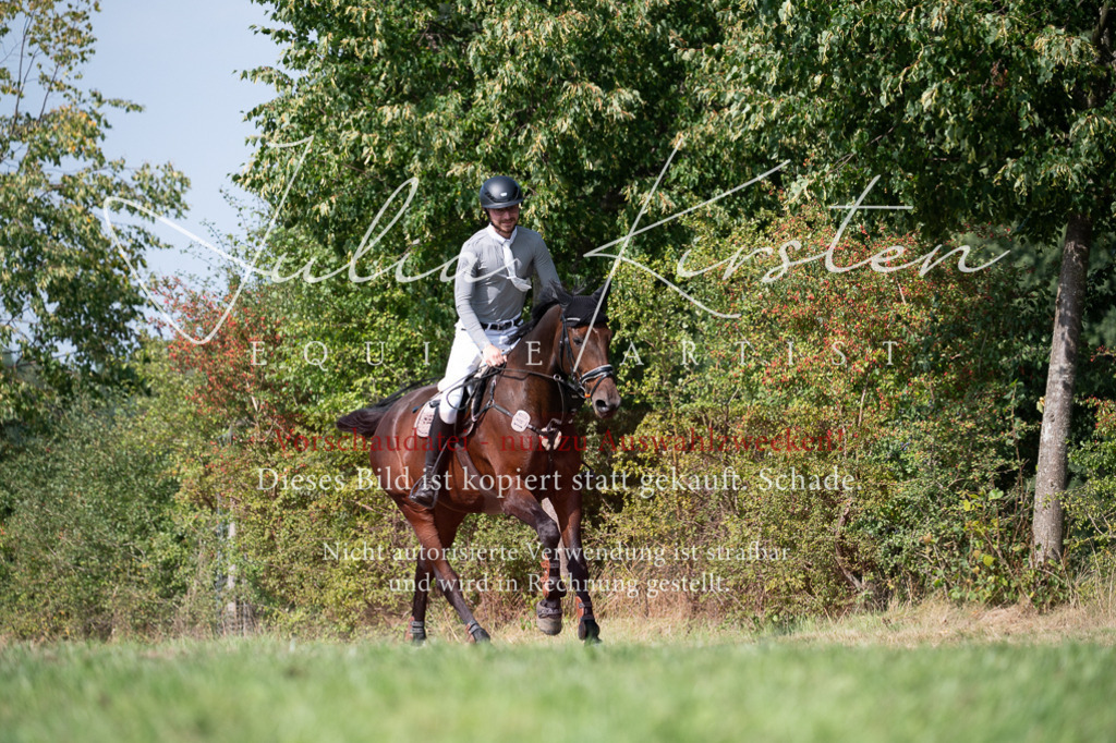 DSC_0924 | Pferde- und Turnierfotografie in Westsachsen. Pferdeportraits, Auftragszeichnungen und intuitive Kunst.