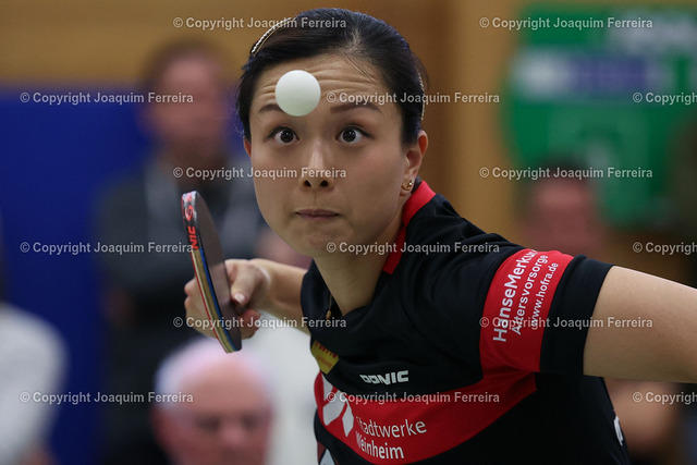 2025.03.01 TT Langstadt-weiheim_5655 Kopie | 2025.03.01  Tischtennis  Damen 1. Bundesliga TSV 1909 Langstadt - TTC 1946 Weinheim v.l., Yuan Wan (TTC 1946 Weinheim Tischtennis Damen 1.Bundesliga) macht einen Aufschlag. Konzentriert, den Ball im Fokus  - Realisiert mit Pictrs.com