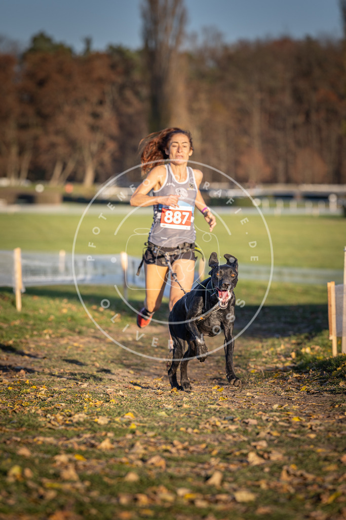 CaniXpix_DV3A4448 | Hundefotografie, Tierfotograf, Pfotenfotografie, Fotoshooting Hund, Hunde Portrait, Hundesport, Hundeportraits, Heideshooting, Hunde, Sportfotograf, Hundefotograf, Turnierhundsport, THS,  - Realisiert mit Pictrs.com