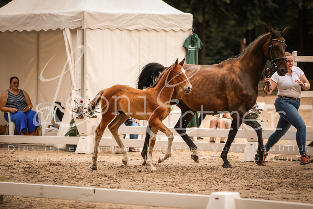 SaPA00235 | Leoni Ertmer Photography - Realisiert mit Pictrs.com