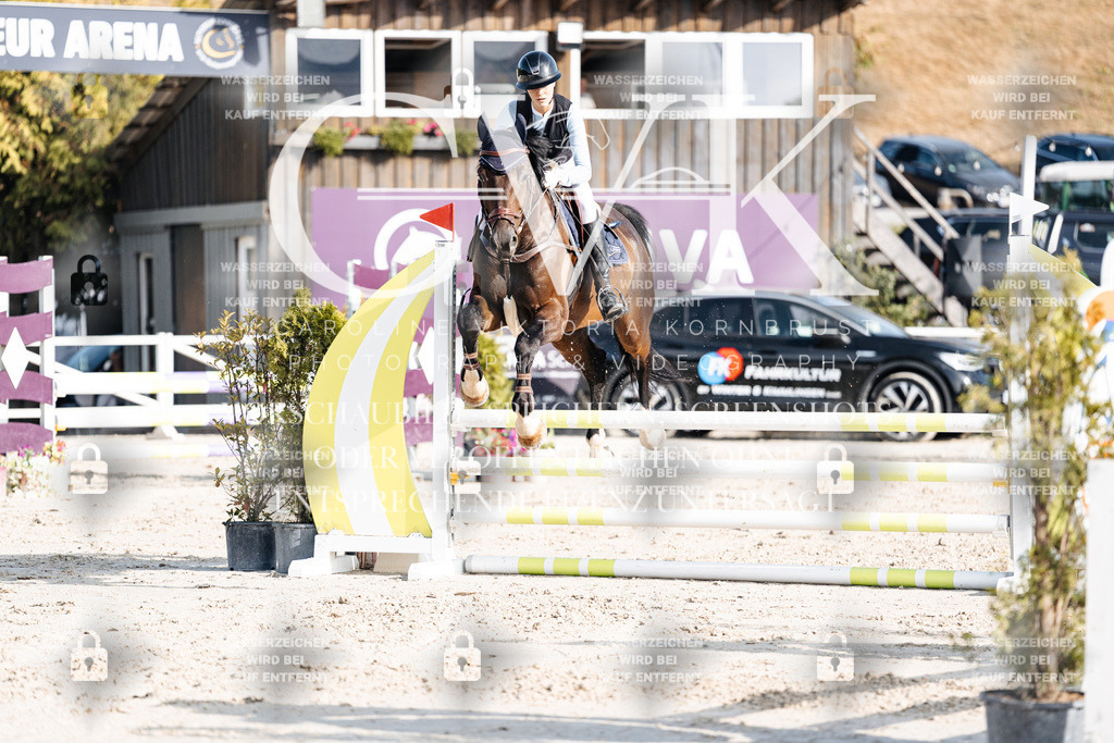 CK909555 | Turnierfotografie Pferdefotografie Trier Rheinland-Pfalz Pferdesport Reitsport Tierfotografie Sportfotografie Pferdevideo Pferdevideografie Equestrianvideography equestrianphotography  - Realisiert mit Pictrs.com