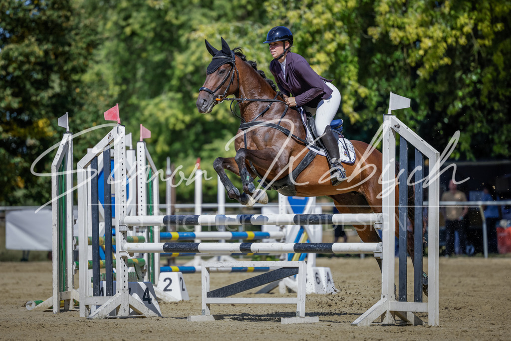 20250906-_3LI4012 | Tierfotografie Pferde, Hunde, Katzen, Haustiere.
Turnierfotografie Reitturniere, Reiten, Springreiten, Dressur in Hanau, dem Main-Kinzig-Kreis und dem Rhein-Main- Gebiet um Frankfurt