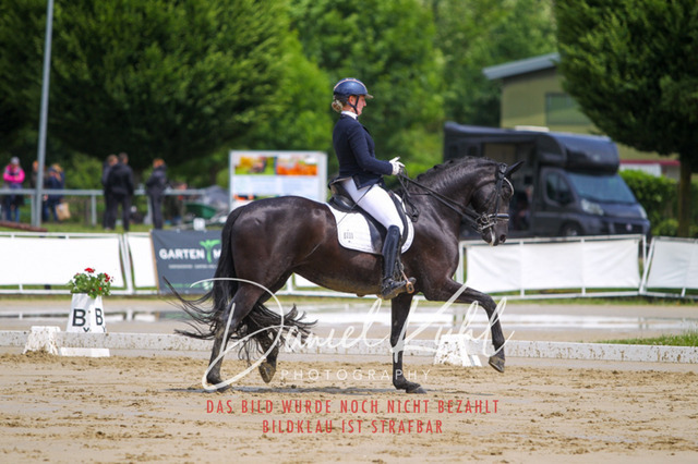 DKP40615 | Turniersportfotografie; Pferdefotografie; Dressurfotografie