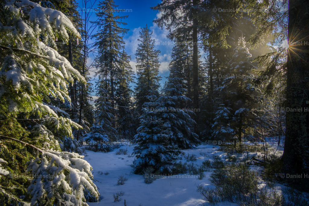 IMG_1102 | Hier finden Sie Poster, Leinwandfotos sowie viele weitere Fotoprodukte mit Motiven aus dem Schwarzwald, aus Freiburg und dem Kaiserstuhl zum Download und zum Bestellen.  - Realisiert mit Pictrs.com