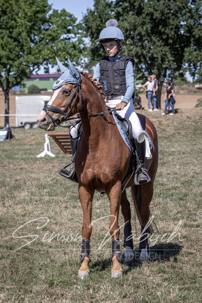 20260906-_3LI4783 | Tierfotografie Pferde, Hunde, Katzen, Haustiere.
Turnierfotografie Reitturniere, Reiten, Springreiten, Dressur in Hanau, dem Main-Kinzig-Kreis und dem Rhein-Main- Gebiet um Frankfurt