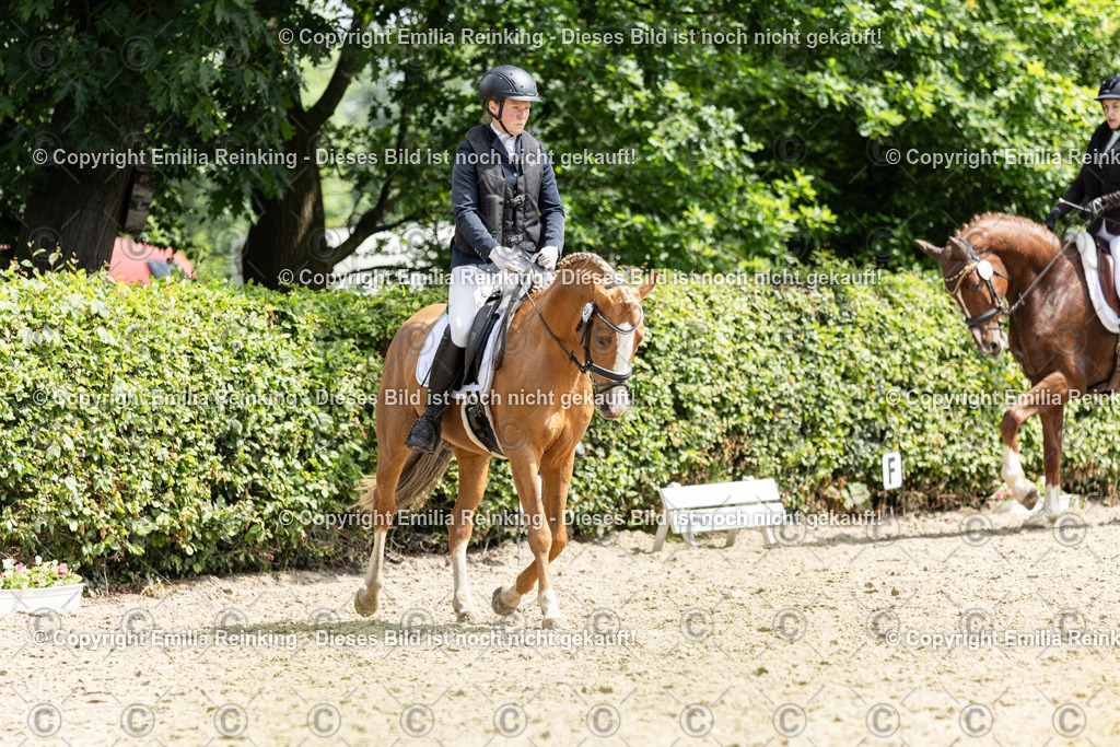 CL5A8110 | Emilia Reinking Fotografie - Realisiert mit Pictrs.com