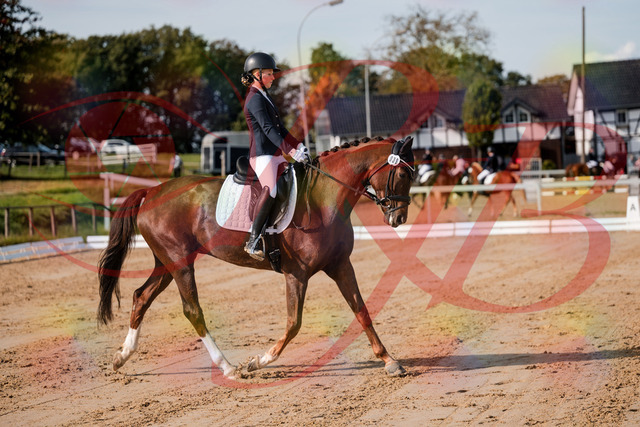 2026_10_03_Siefer-Hof_114722_Z63_25974853 | Professionelle Reitsport-, Turnier- und Eventfotografie von Robert Broda. Galerien mit ausgewählten und bearbeiteten Bildern direkt online ansehen und bestellen.