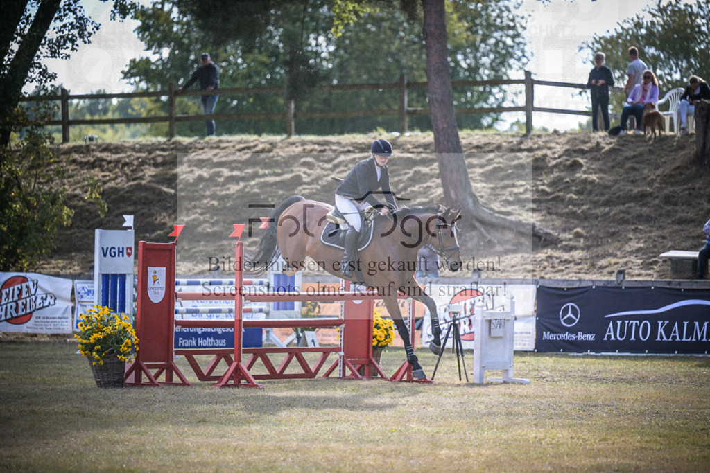 DOS_0186 | Entdecke hochwertige Reitturnierfotos von Foto Oger. Professionell, emotional und authentisch – jetzt Lieblingsmomente im Shop bestellen.Deutschlandweite Turnierfotografie. - Realisiert mit Pictrs.com