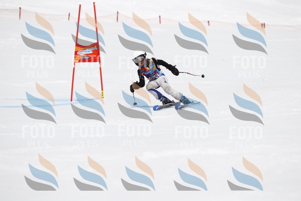 _U3G7357 | holidayphoto