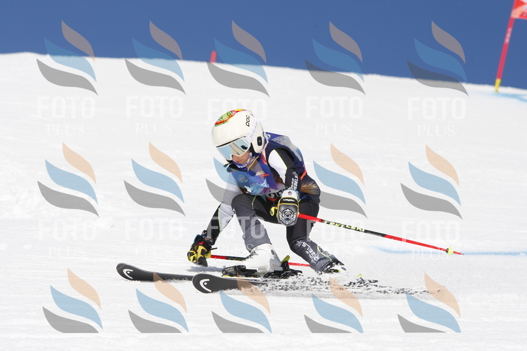 _W1G1948 | holidayphoto