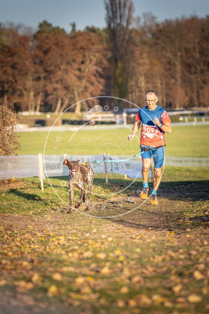 CaniXpix_DV3A4662 | Hundefotografie, Tierfotograf, Pfotenfotografie, Fotoshooting Hund, Hunde Portrait, Hundesport, Hundeportraits, Heideshooting, Hunde, Sportfotograf, Hundefotograf, Turnierhundsport, THS,  - Realisiert mit Pictrs.com