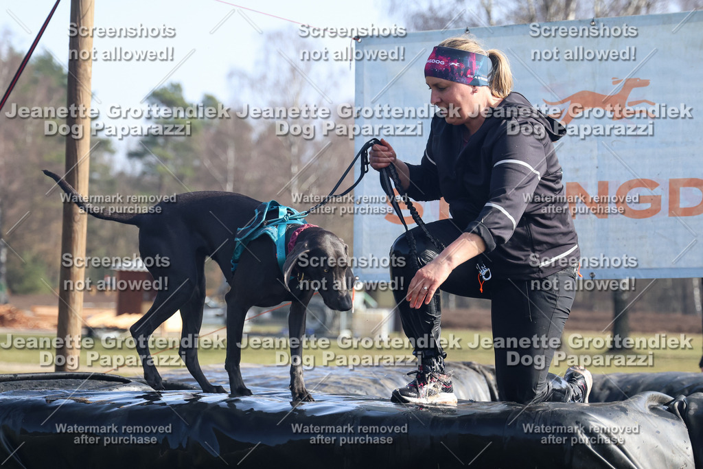 Dog Paparazzi - Strongdog North Mrz26-1418 | Dog Paparazzi Jeanette Grottendiek Fotografie & Videografie - Realisiert mit Pictrs.com