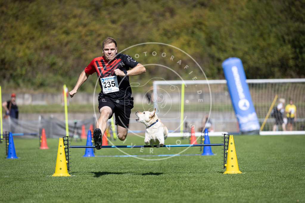 Pfotenfotografie_DV3A5811 | Hundefotografie, Tierfotograf, Pfotenfotografie, Fotoshooting Hund, Hunde Portrait, Hundesport, Hundeportraits, Heideshooting, Hunde, Sportfotograf, Hundefotograf, Turnierhundsport, THS,  - Realisiert mit Pictrs.com