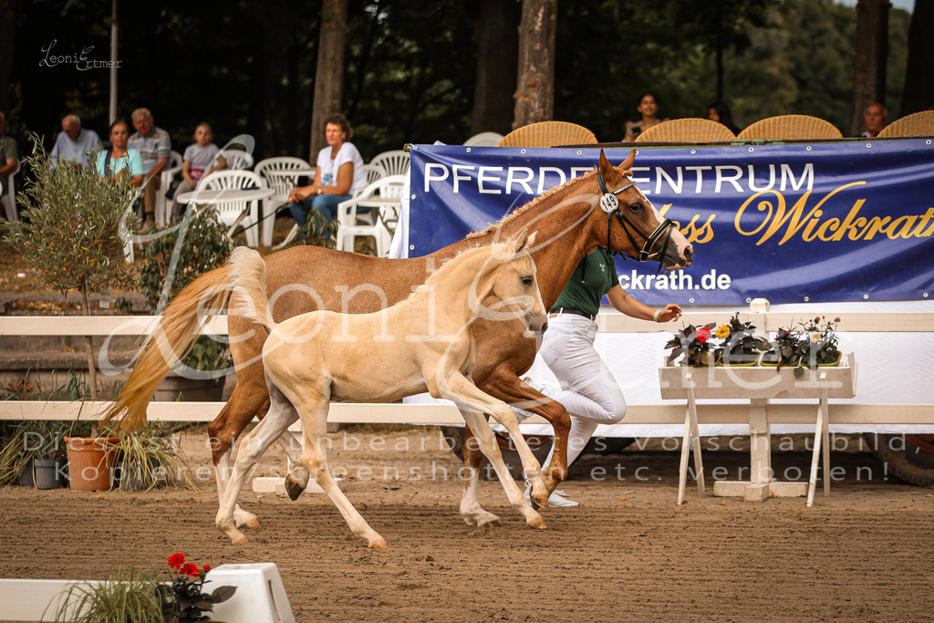 07.So00006 | Leoni Ertmer Photography - Realisiert mit Pictrs.com