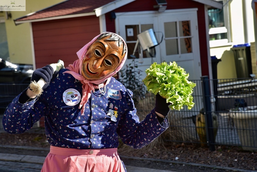 FaMoUmzug-022-RA-1 | Fotoblog Schwarzwald, Foto Blog Wiesental, Pfaffenberg, Winterzauber, Zeller Bergland, Zell im Wiesental, Fotoblog Wiesental, Landschaftsfotos, Bilder Wiesental, Natur, Naturbilder, Fastnacht, Zeller Fastnacht, Zeller Fasnacht, Zeller Bergland, Belchen, - Realisiert mit Pictrs.com