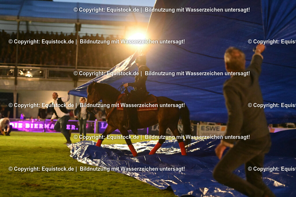 20230526_Pferdenacht_1068 | equistock