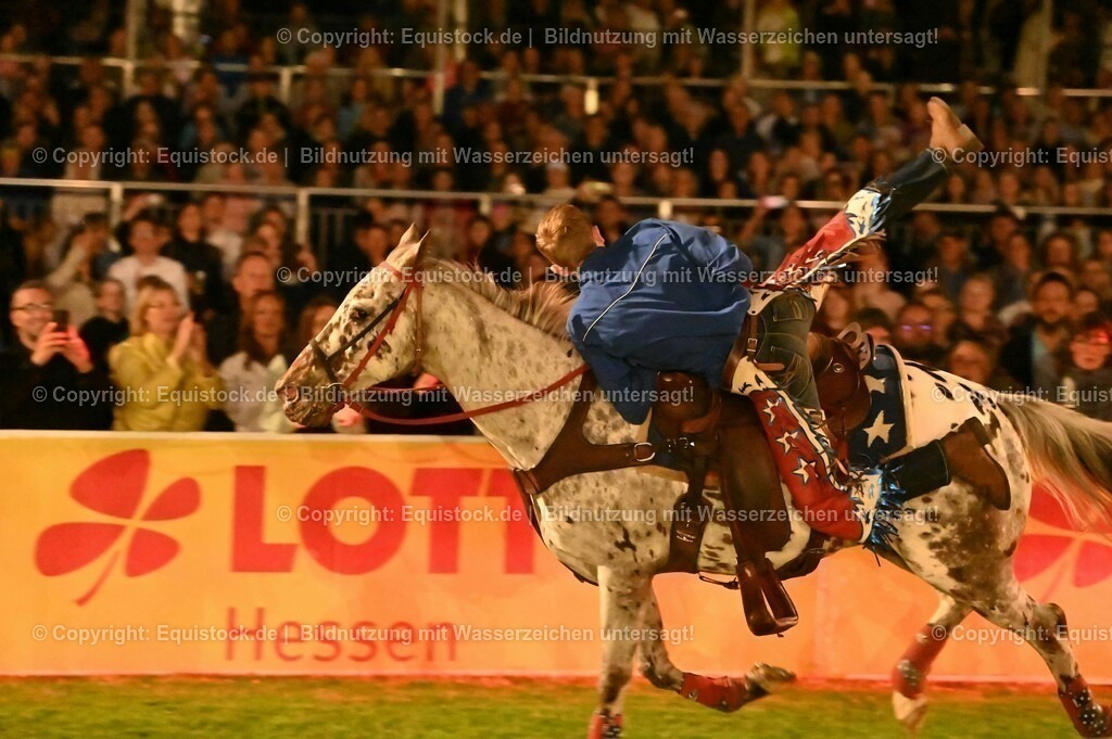 20230526_Pferdenacht_1193 | equistock