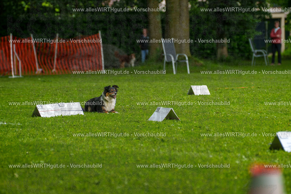 @allesWIRTHgut_Tierfotografie - www.allesWIRTHgut.de - 7R502358 | Professionelle Tierfotografie in Mönchengladbach von Daniel Wirth (allesWIRTHgut). Liebevolle & natürliche Bilder von Hunden & Katzen für unvergessliche Erinnerungen.