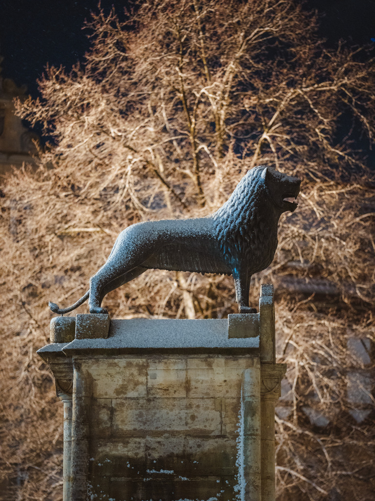 Burgplatz | Entdecke exklusive Fotokunst aus Braunschweig: Bildband, Leinwände, Postkarten, Kalender, digitale Downloads & Bildlizenzen. Jetzt im offiziellen Beautiful Braunschweig Shop! - Realisiert mit Pictrs.com
