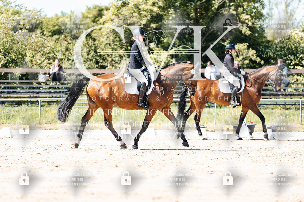CK905247 | Turnierfotografie Pferdefotografie Trier Rheinland-Pfalz Pferdesport Reitsport Tierfotografie Sportfotografie Pferdevideo Pferdevideografie Equestrianvideography equestrianphotography  - Realisiert mit Pictrs.com