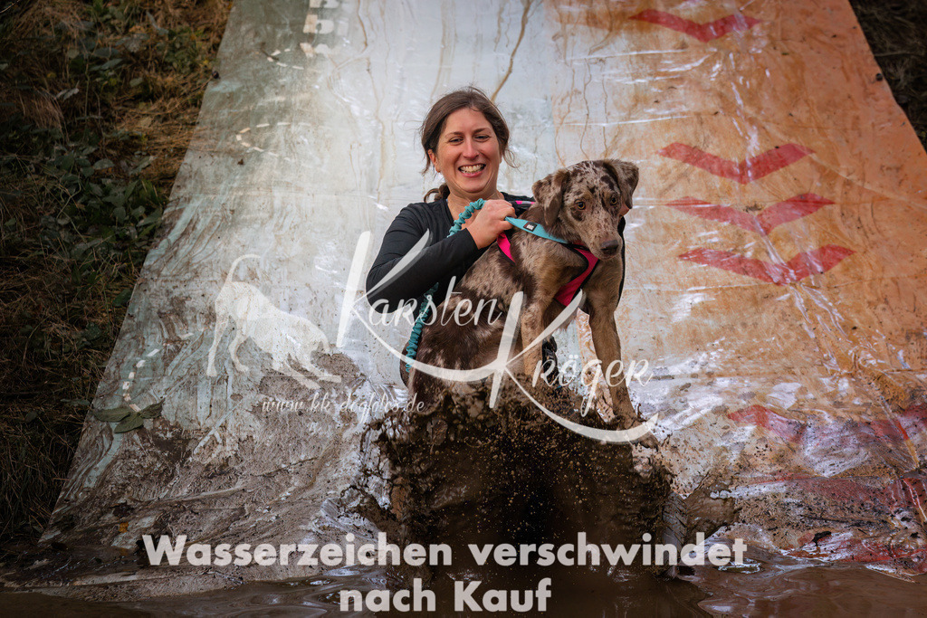 1040_ZZ94156 | kk-dogfotos