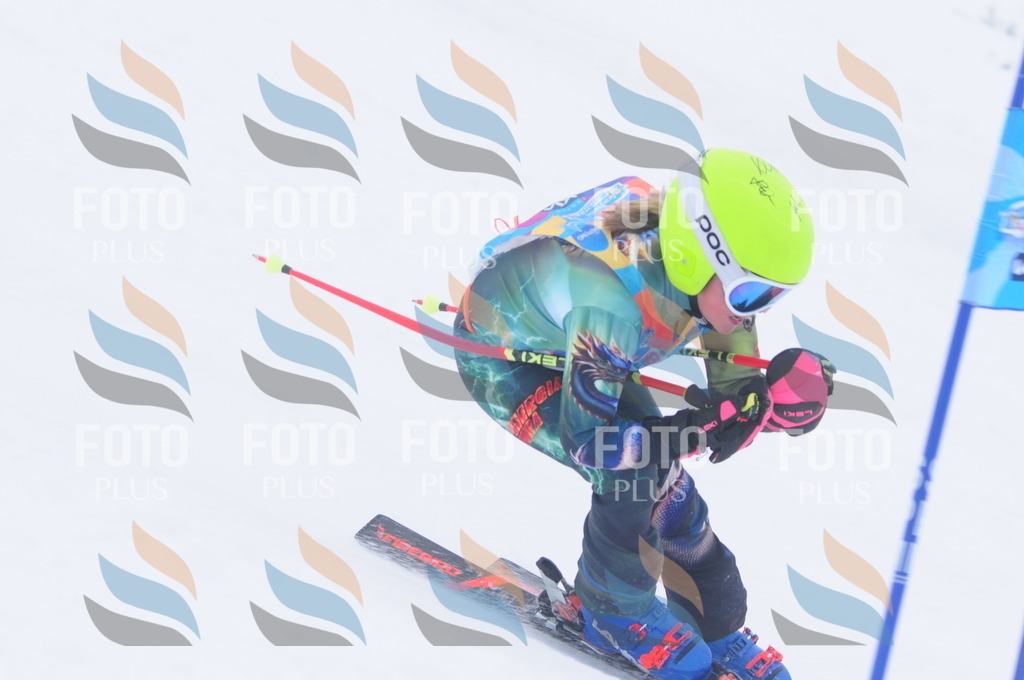 C2775 | holidayphoto