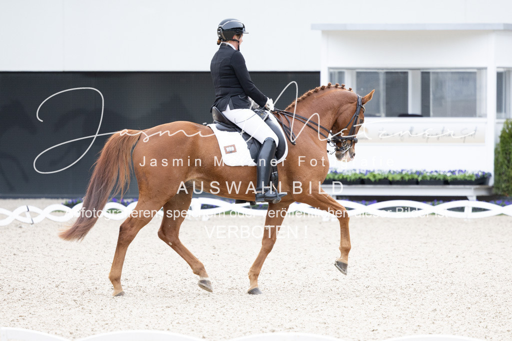 126A5180 | jasminmetznerfotografie