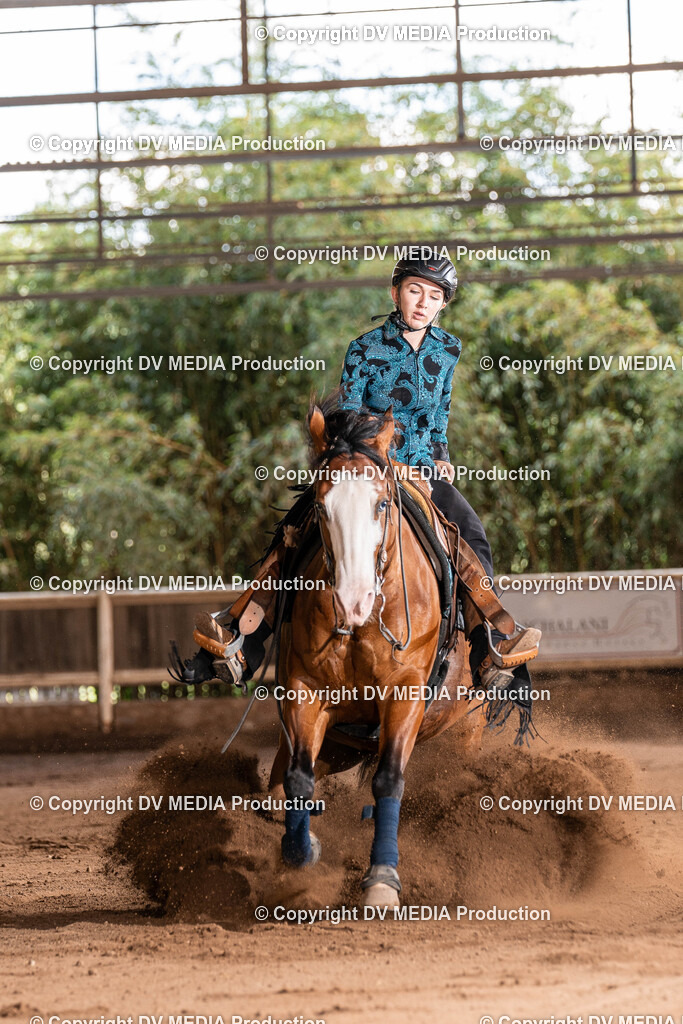 Erbach Tag 2-911 | dv-media-shop - Realisiert mit Pictrs.com