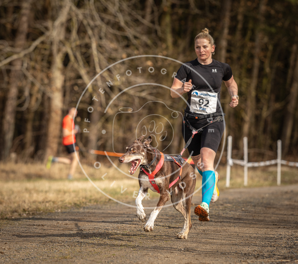 DV3A3741 | Hundefotografie, Tierfotograf, Pfotenfotografie, Fotoshooting Hund, Hunde Portrait, Hundesport, Hundeportraits, Heideshooting, Hunde, Sportfotograf, Hundefotograf, Turnierhundsport, THS,  - Realisiert mit Pictrs.com