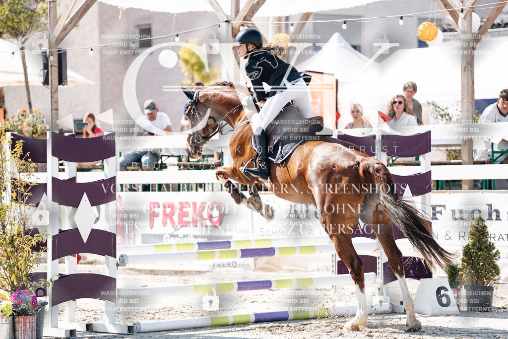 CK905218 | Turnierfotografie Pferdefotografie Trier Rheinland-Pfalz Pferdesport Reitsport Tierfotografie Sportfotografie Pferdevideo Pferdevideografie Equestrianvideography equestrianphotography  - Realisiert mit Pictrs.com