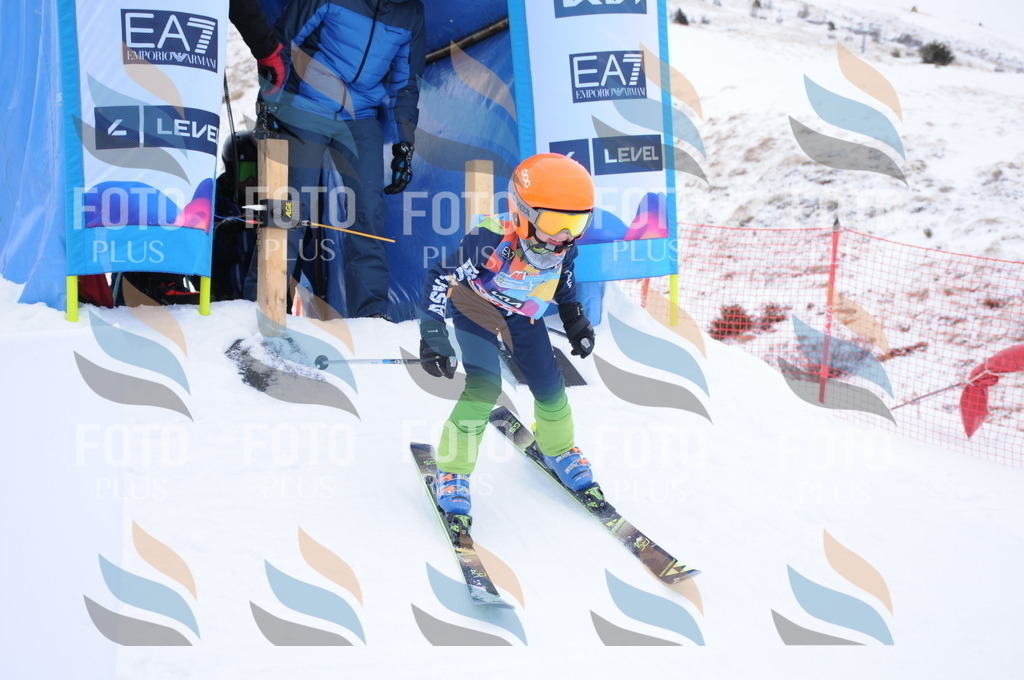 DSC_8614 | holidayphoto