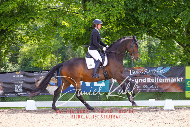 DKP41008 | Turnierfotos kaufen im Webshop von Daniel Kuhl Photography – entdecke professionelle Reitsportfotos aus Turnieren & Events. Hochwertige Turnierbilder online bestellen & sichern. Jetzt Fotos von Reitsportturnieren kaufen!