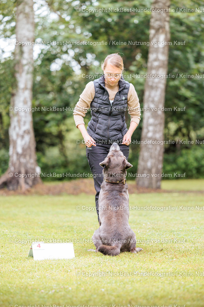 RO-Blumenthal-2026-Nickbest-Hundefotografie-1022 | Dein Hund! Dein Moment! Deine Erinnerungen! Hundefotografie in Bremen Blumenthal. Ich fange die besonderen Momente deines Vierbeiners ein – ob Indoor mit Blitzanlage oder in der freien Natur. Sicher dir dein Moment und dein Termin für eure Erinnerungen.
