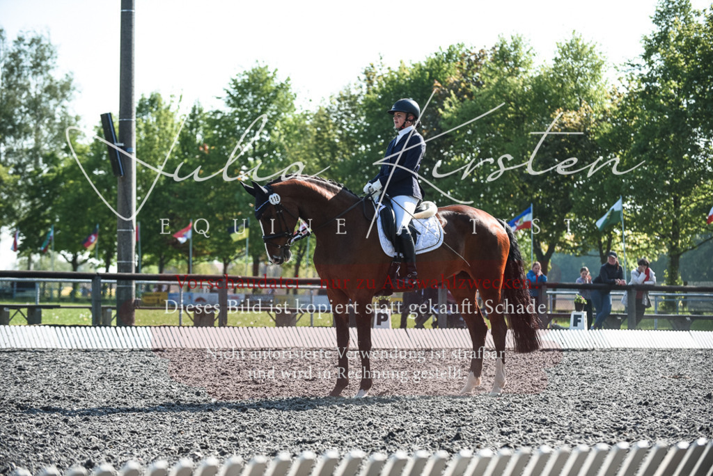 DSC_8554 | Pferde- und Turnierfotografie in Westsachsen. Pferdeportraits, Auftragszeichnungen und intuitive Kunst.