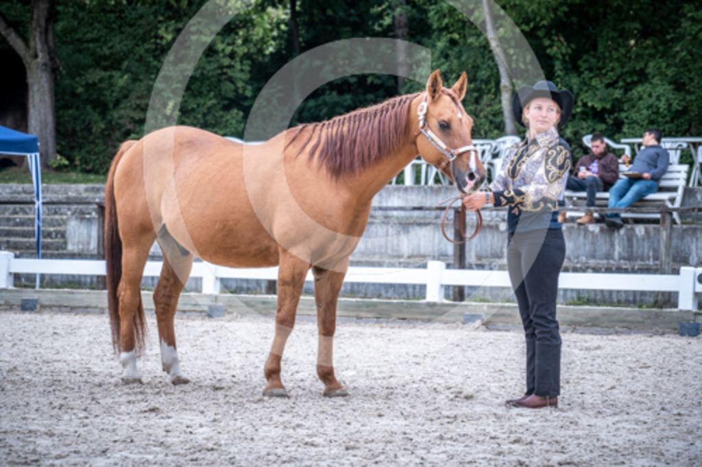 HEB06592 | BS-foto